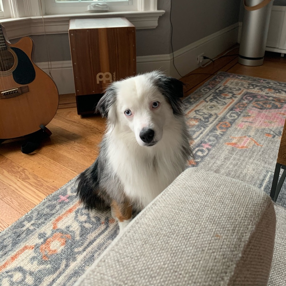 Meet your Posher, Samantha f